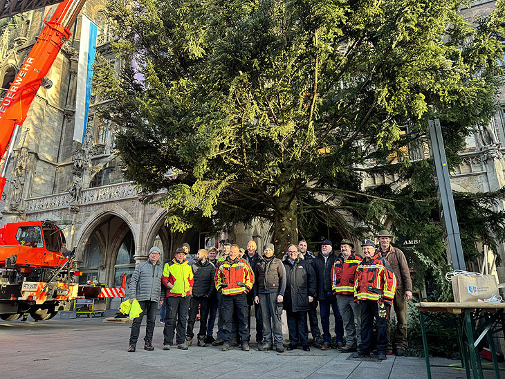 Aufstellung der Tanne aus Antdorf auf dem Marienplatz (©Foto. Martin Schmitz)